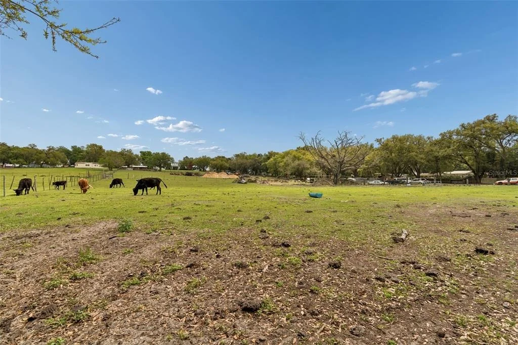 Photo of 8236 WIRE ROAD
