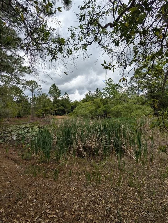 Photo of 38521 ILEX TRAIL