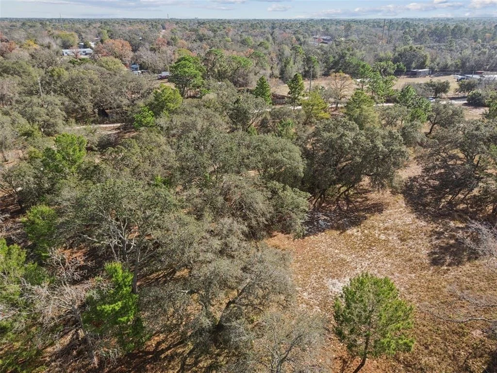Photo of 14459 COYOTE ROAD