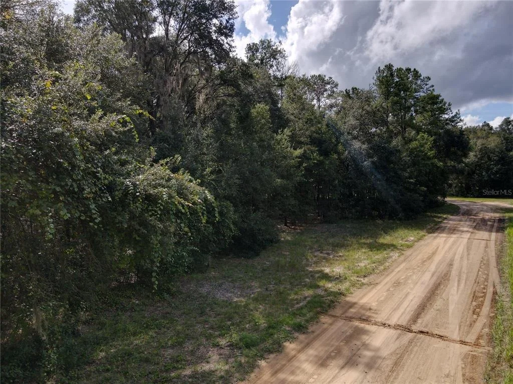 Photo of GUNNER AVE