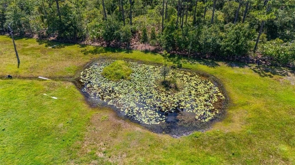 Photo of 3962 MCCLELLAND ROAD