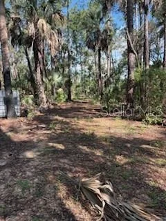 Photo of 37610 OAKLEE ROAD