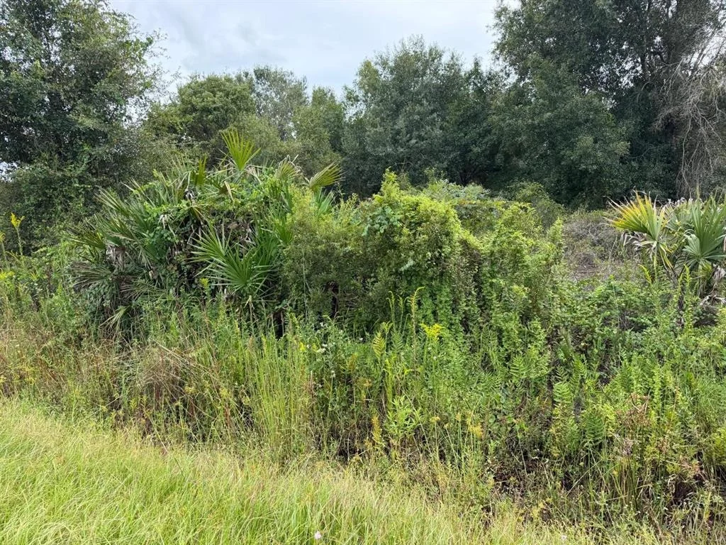 Photo of 14616 NW 260TH STREET