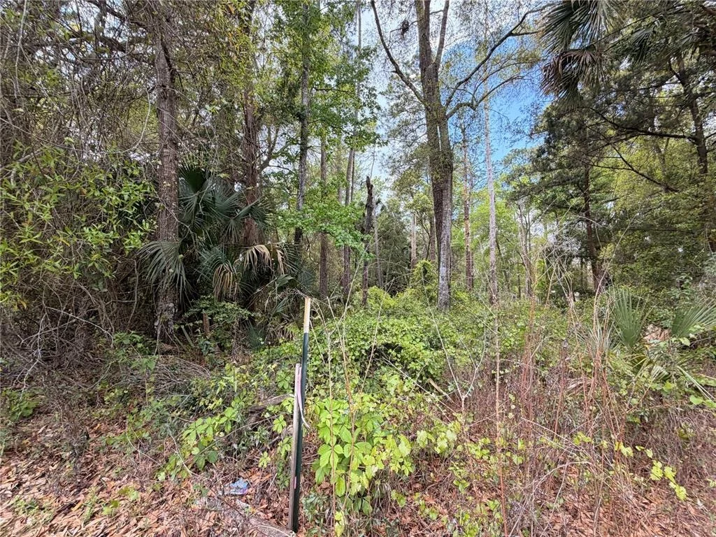 Photo of COUNTY ROAD 445A
