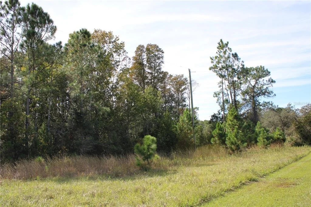 Photo of DUBOISE DRIVE