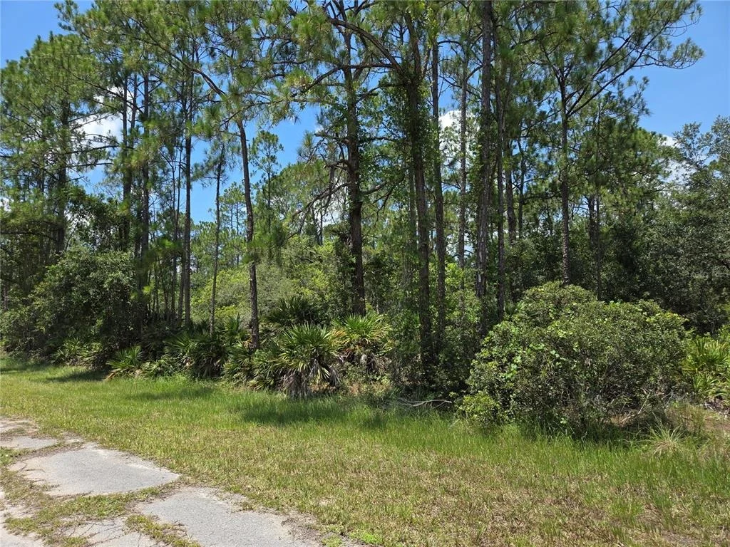 Photo of 0 ALLAMANDA DR