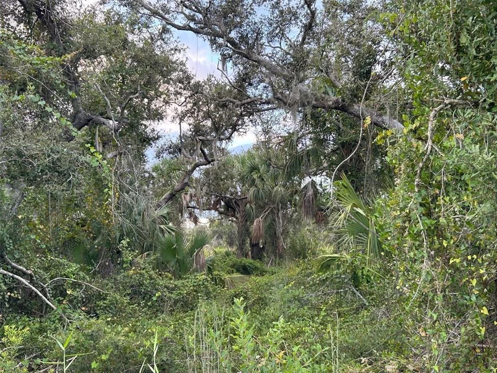 Photo of 29431 NOTTINGHAM ROAD