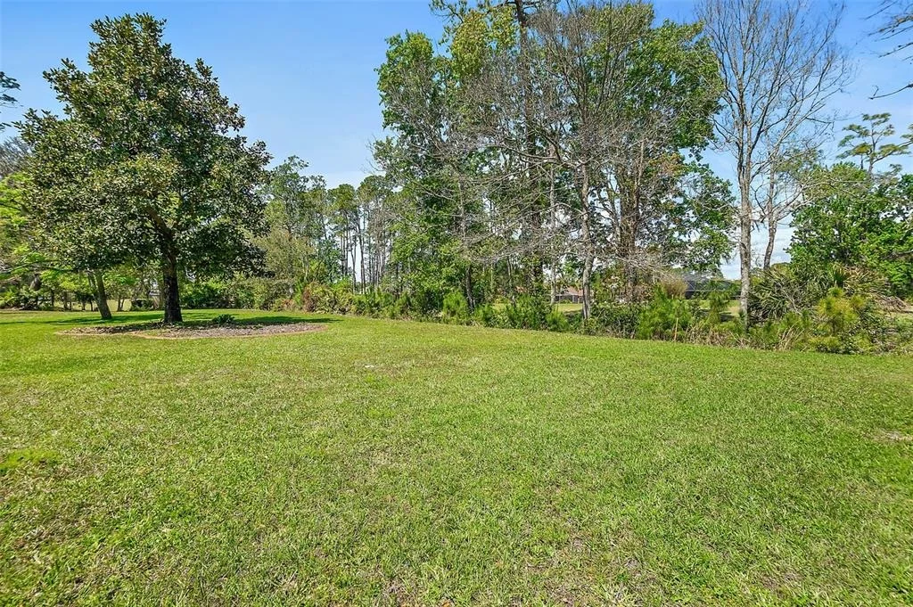 Photo of 56 EGRET TRAIL