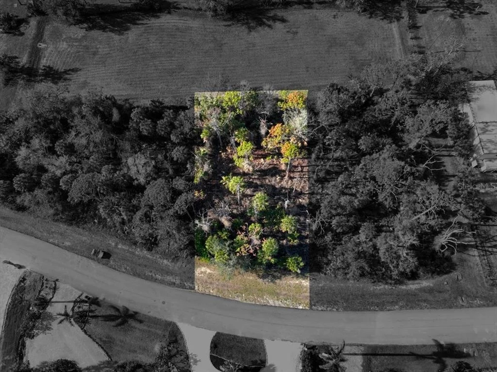 Photo of 10081 CREEKSIDE DRIVE