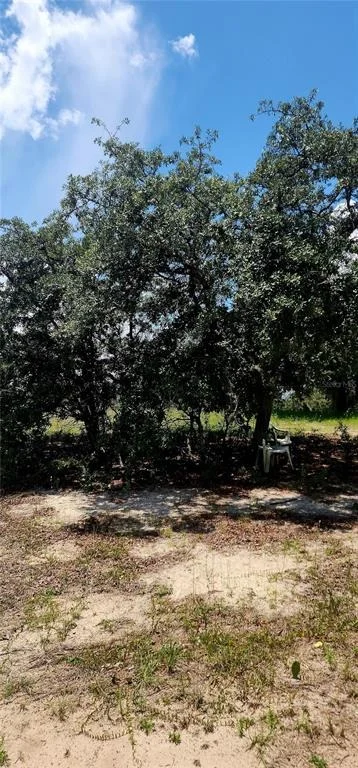 Photo of 562 LIBBY ROAD