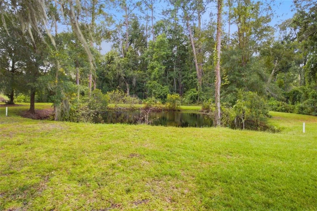 Photo of 28434 SONNY DRIVE