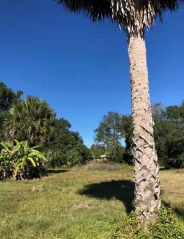 Photo of 8367 LAFITTE DRIVE