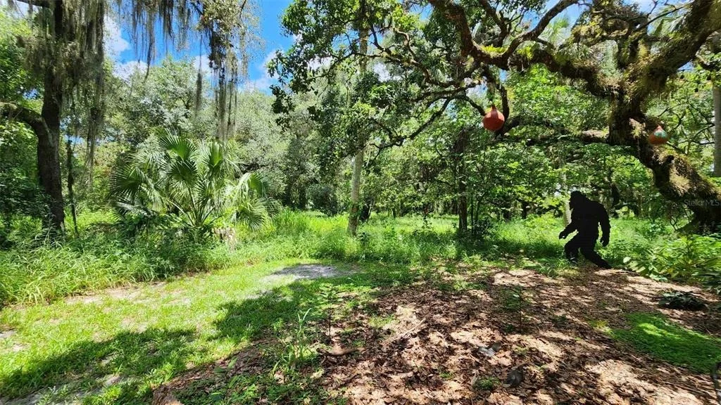 Photo of 389 LONGHORN DRIVE