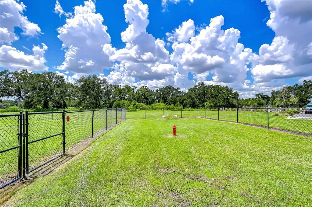 Photo of 35651 BUTTONWEED TRAIL