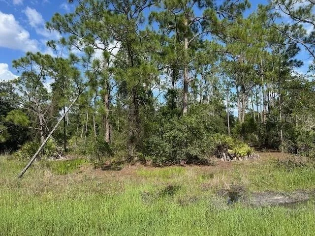 Photo of 13036 APACHE DRIVE