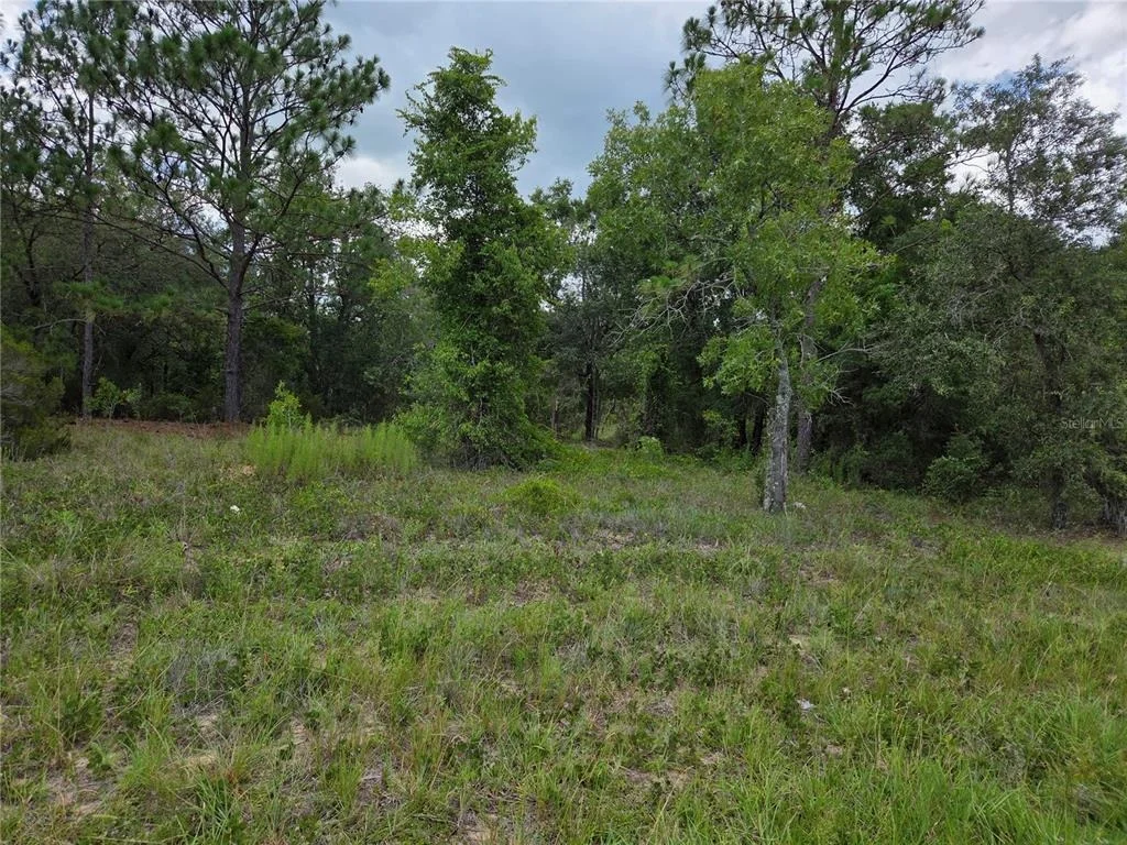 Photo of 0000 SE STATE ROAD 121