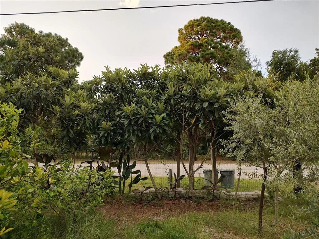 Photo of 10342 SHADY DRIVE