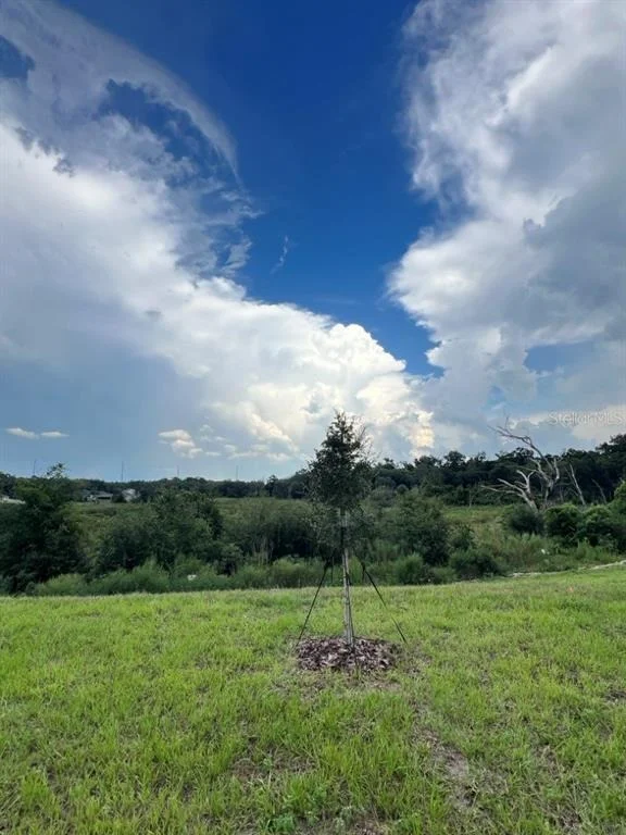 Photo of 3309 SPINEYWOOD DRIVE