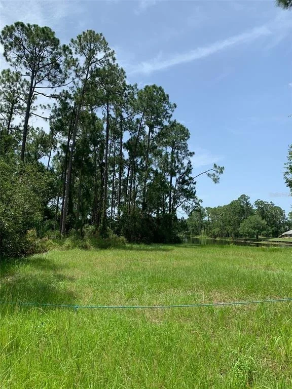 Photo of 1709 STREAM AVENUE