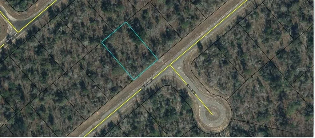 Photo of DURHAM DRIVE