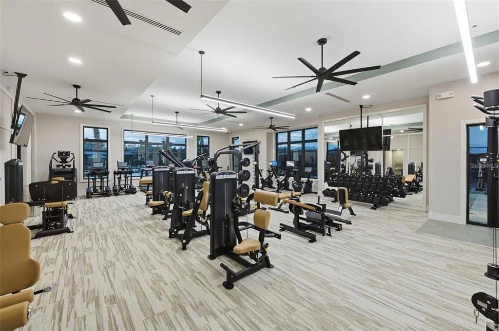 Photo of 13824 SUNLIGHT MEADOW DRIVE