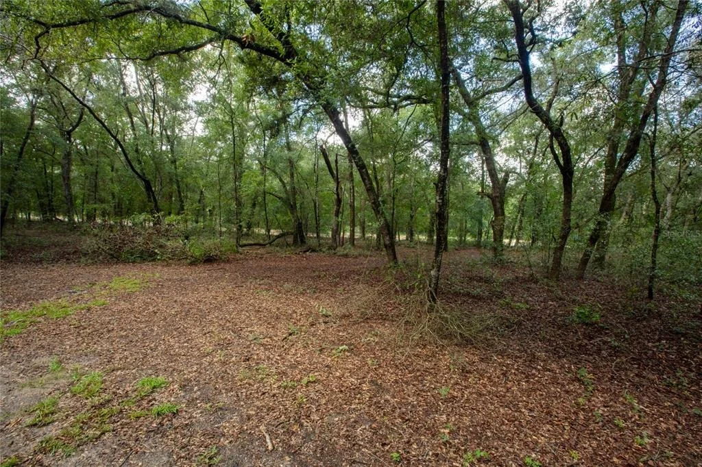 Photo of 5590 JENKINS LOOP DRIVE