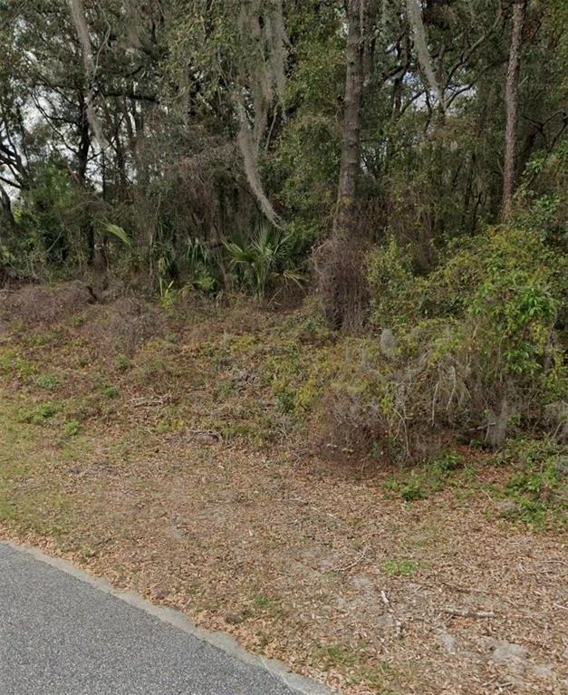 Photo of 101 PINEY WOODS ROAD