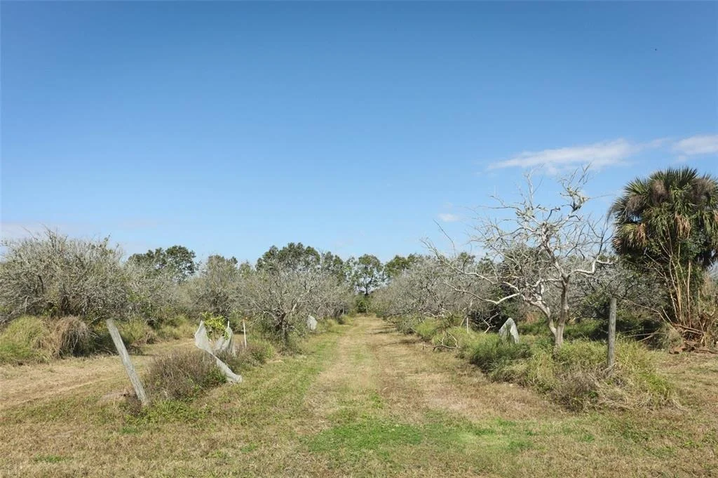 Photo of 0 DAVIS ROAD