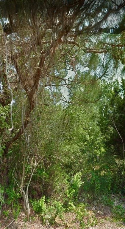 Photo of 12 SELMA TRAIL