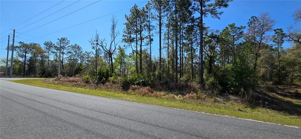 Photo of 12398 RUFFED GROUSE ROAD