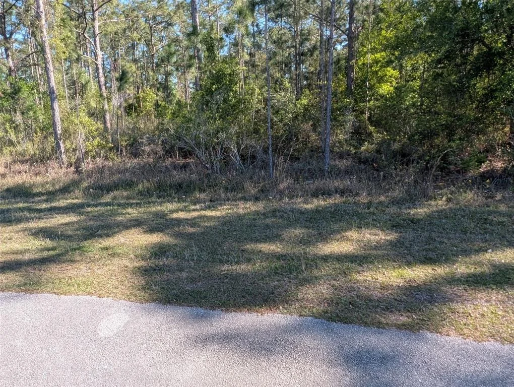 Photo of 20 AVOCADO DRIVE