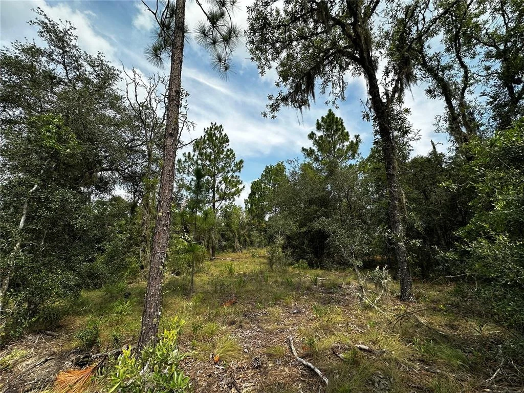 Photo of 150 SE 144TH AVENUE
