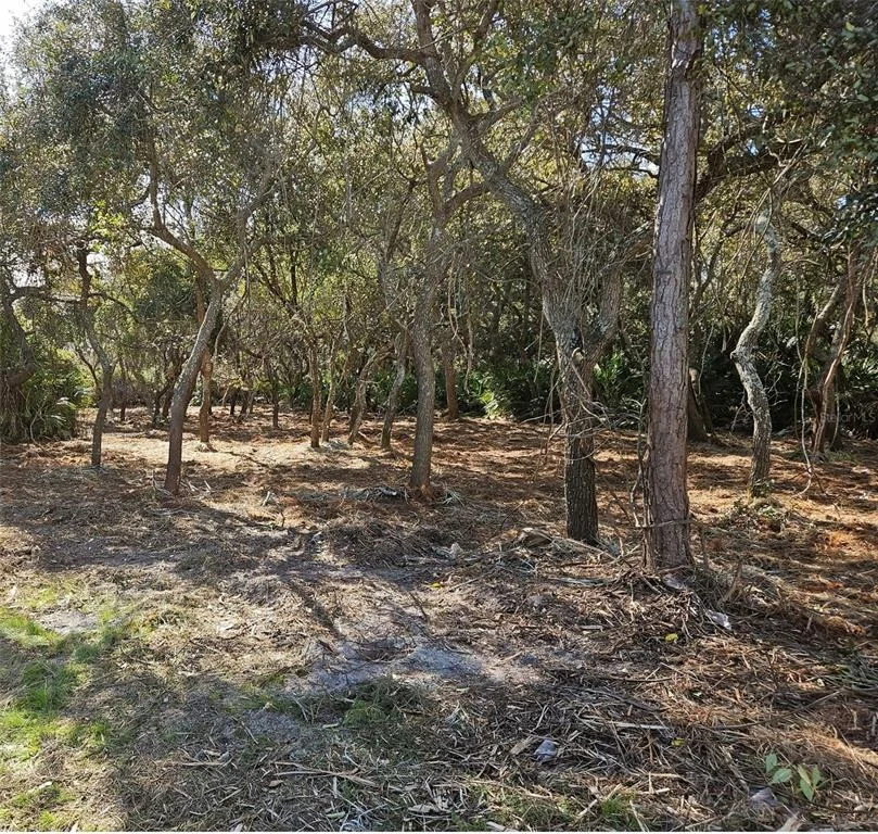 Photo of 31 FLAGSHIP DRIVE