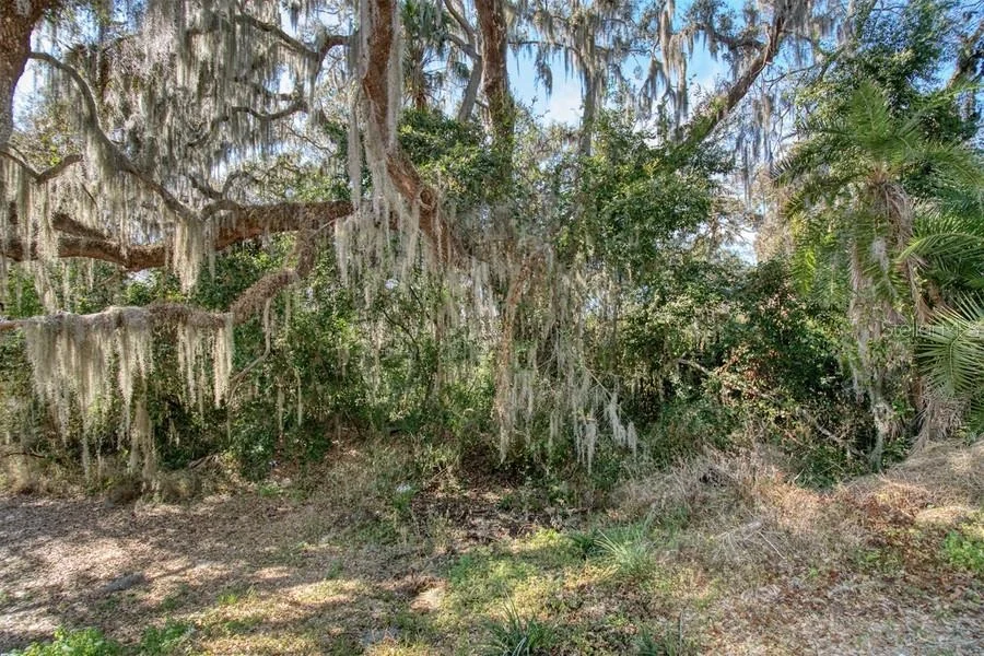 Photo of 3RD ST