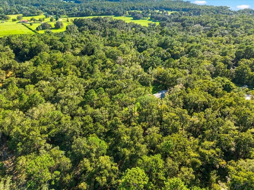 Photo of 24403 MCCAW ROAD