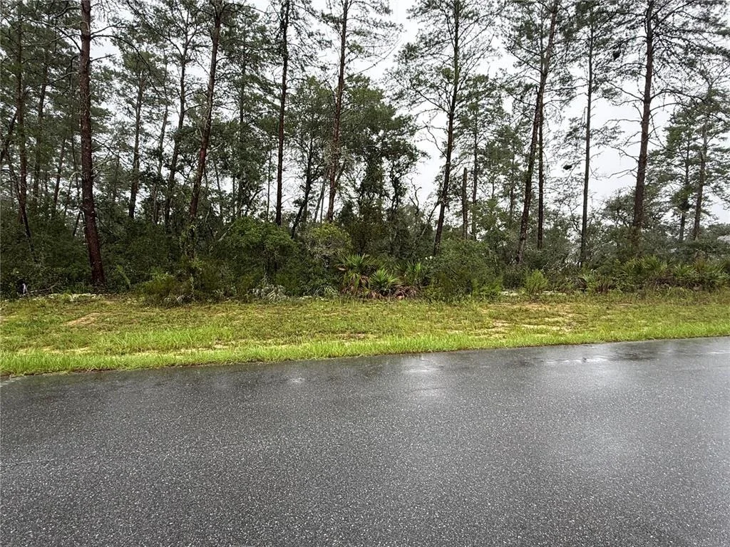Photo of 0 SW 176TH LOOP
