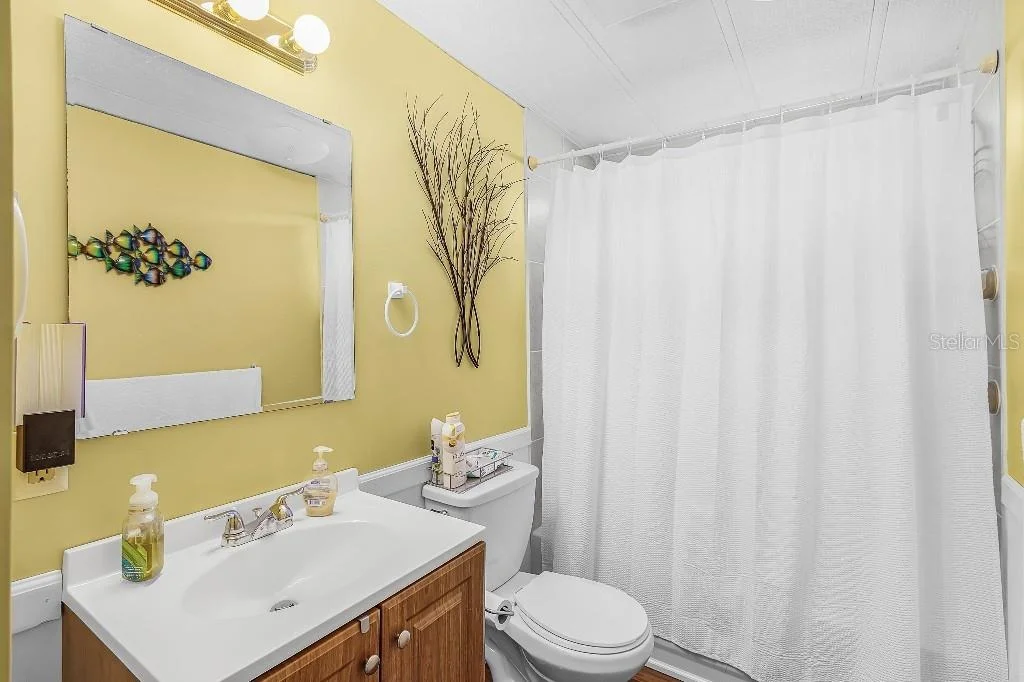 Photo of 251 IBIS