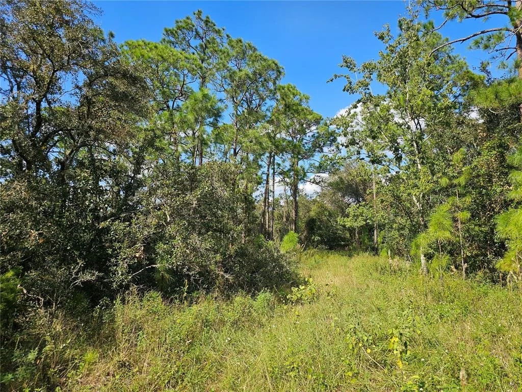 Photo of 7105 ORCHID PLACE