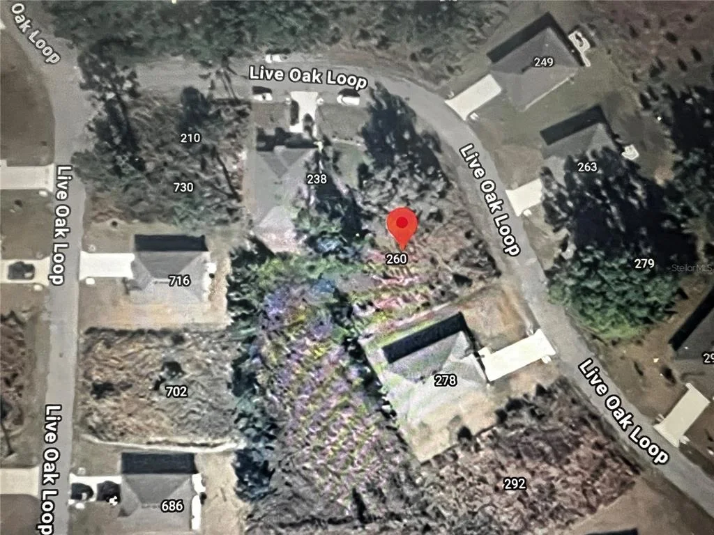 Photo of 260 LIVE OAK LOOP