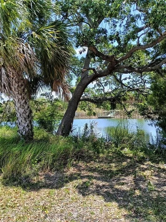 Photo of Unit LOT10 at 0 SEA GRAPE DRIVE