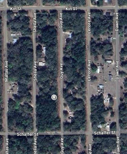 Photo of GUY AVENUE