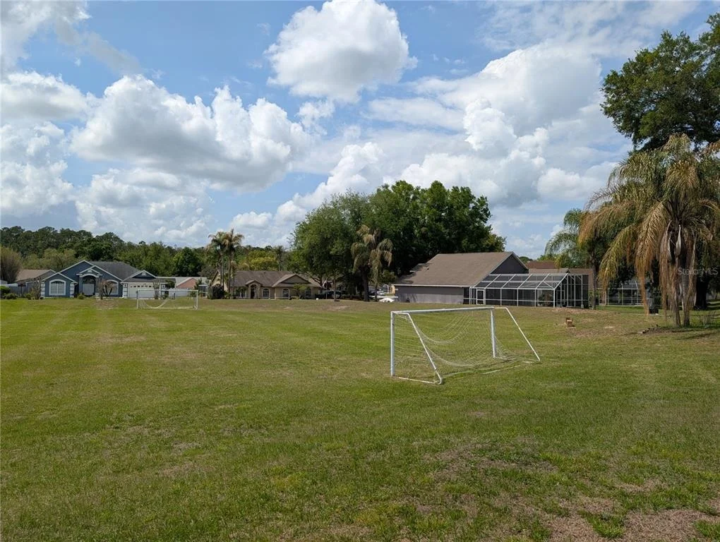 Photo of 527 DURANGO LOOP STREET