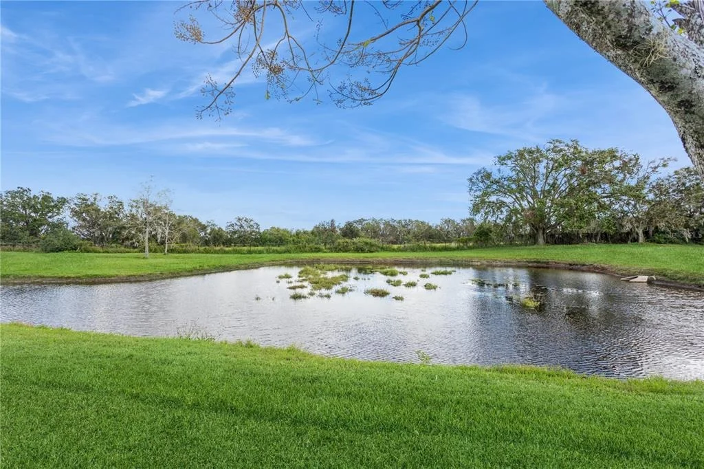 Photo of 1433 EMERALD HILL WAY