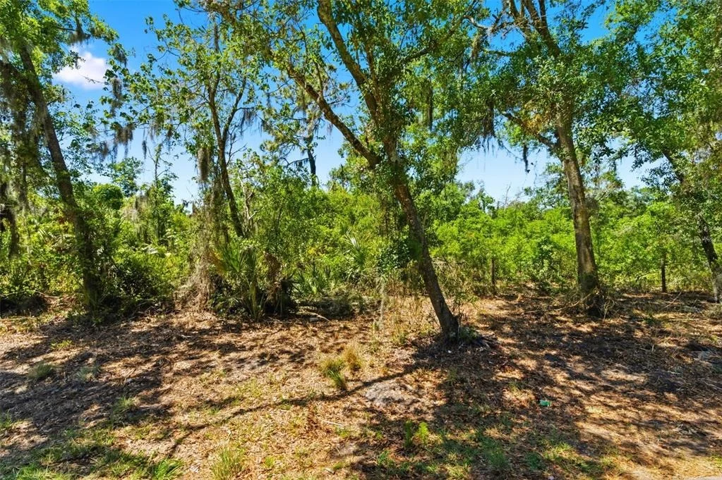 Photo of Unit LOT1 at 19084 RED BIRD LANE