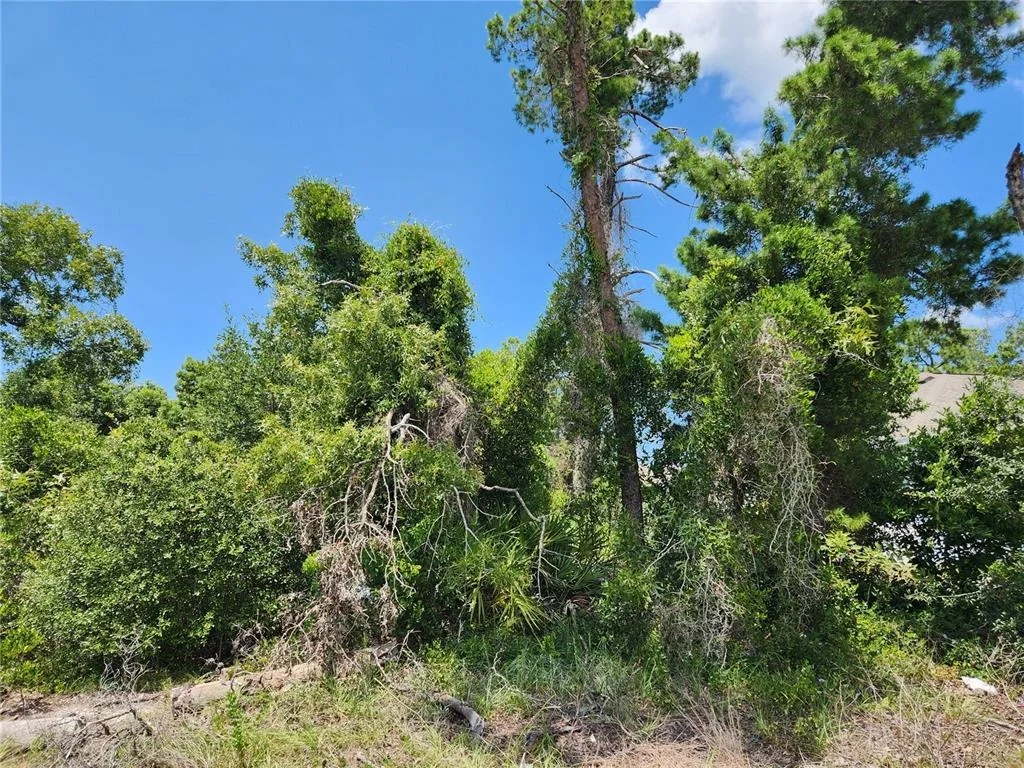 Photo of Unit LOT31 at 6241 MARINER BOULEVARD