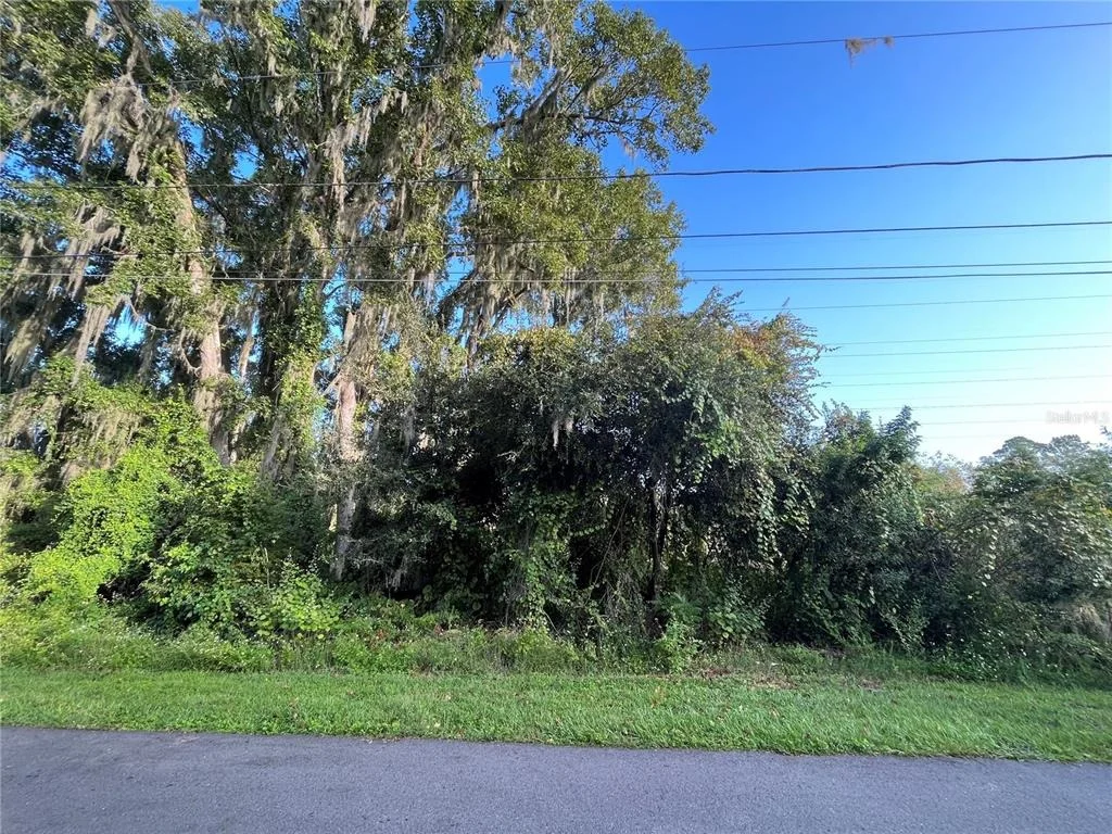 Photo of 264 TOMS ROAD