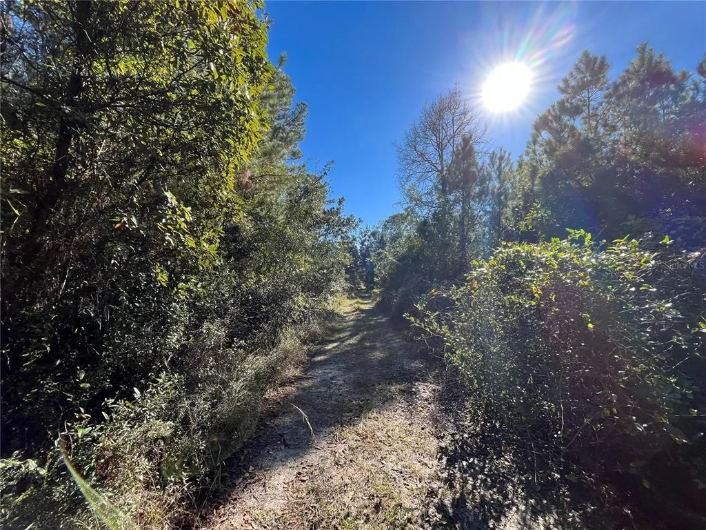 Photo of 223 MOURNING DOVE ROAD