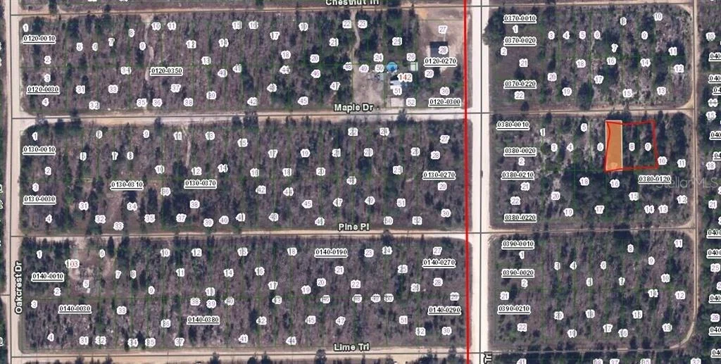 Photo of MAPLE DRIVE