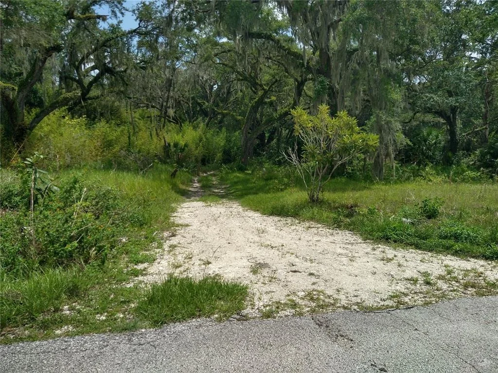 Photo of 10616 SHADY DRIVE