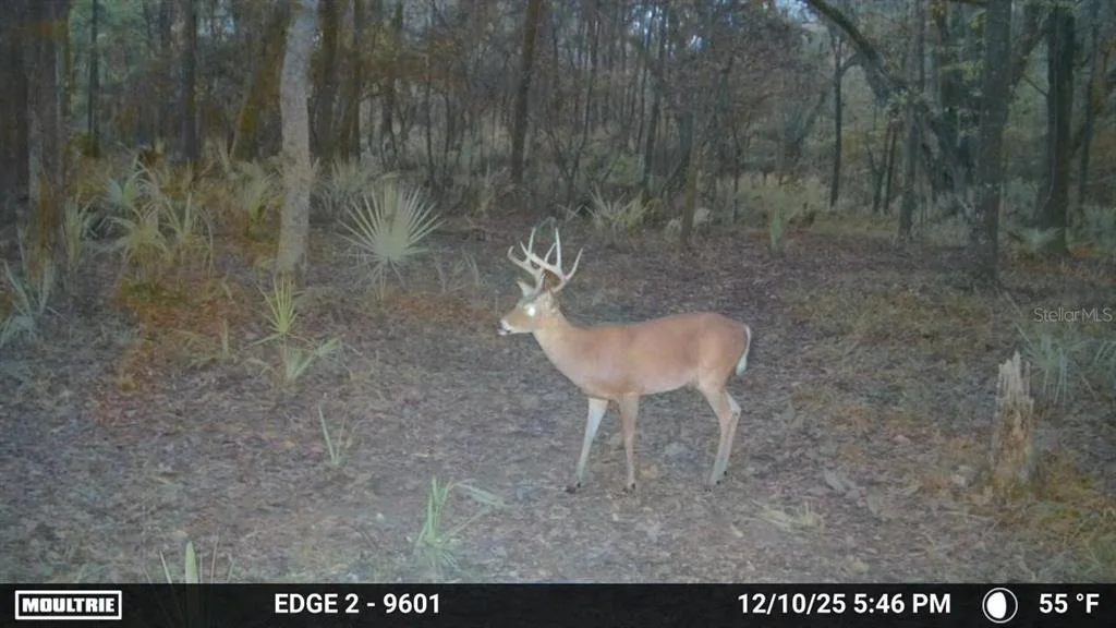 Photo of 11816 SE COUNTY ROAD 234